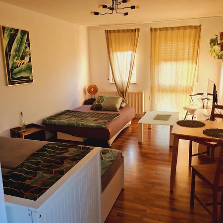 Mels Apartment شفيتزينجين المظهر الخارجي الصورة